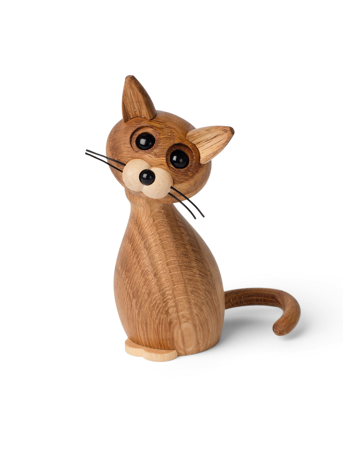 Lucky, Cat