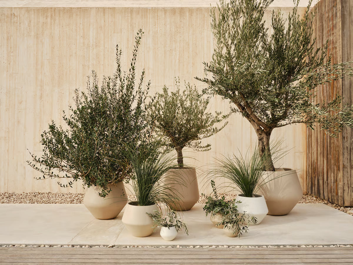 Grove Flowerpot, Ivory